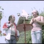 Lino Banfi – Orchidea
